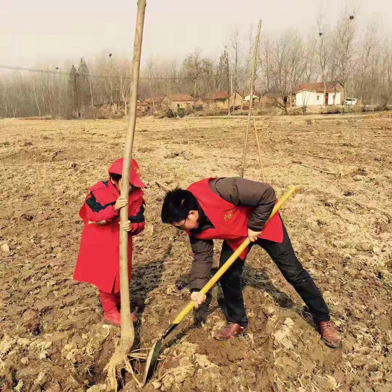 潢川一小参加“共植青年林 志愿我先行”义务植树活动2.jpg