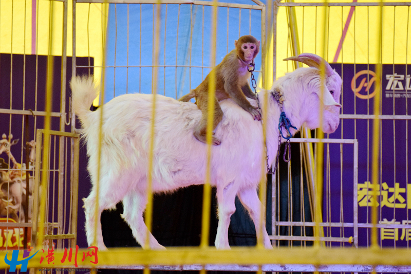DSC_0965.JPG