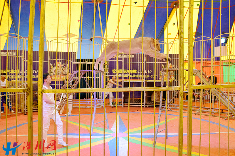 DSC_0992.JPG