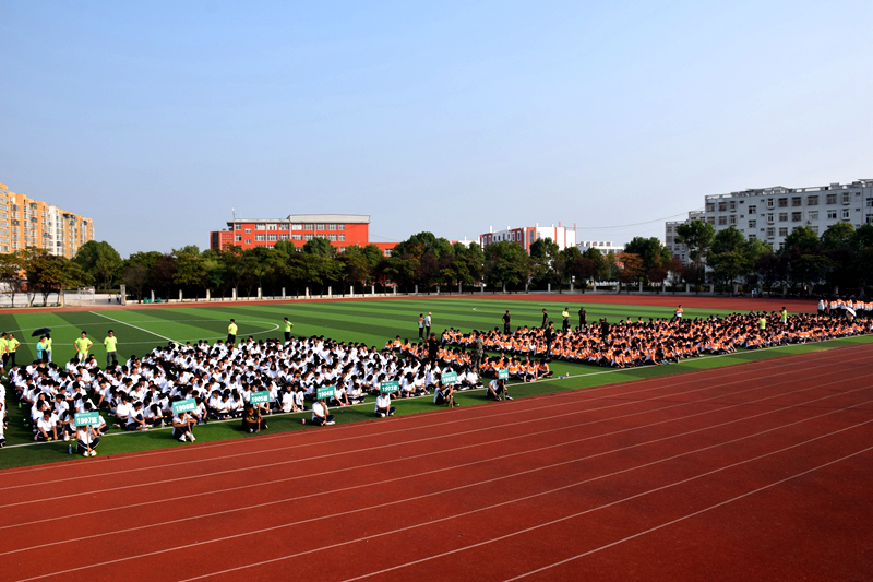 DSC_0790.JPG