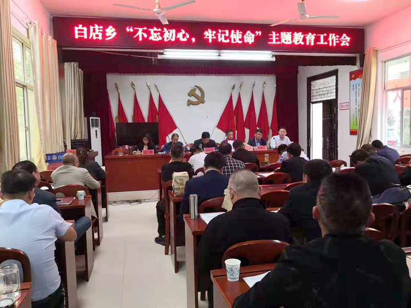 白店乡举行“不忘初心牢记使命”主题教育工作会 (2).jpg