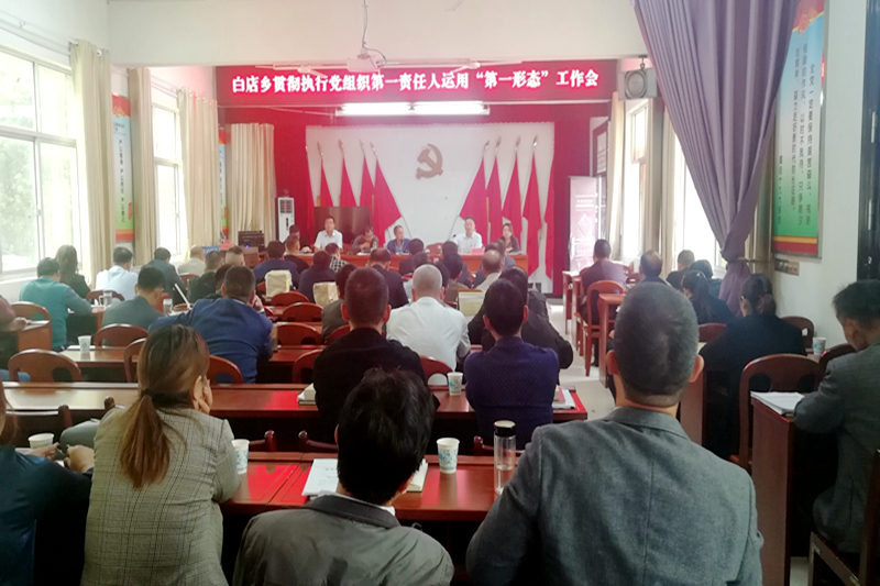白店乡贯彻执行党组织第一责任人运用“第一形态”工作会.jpg