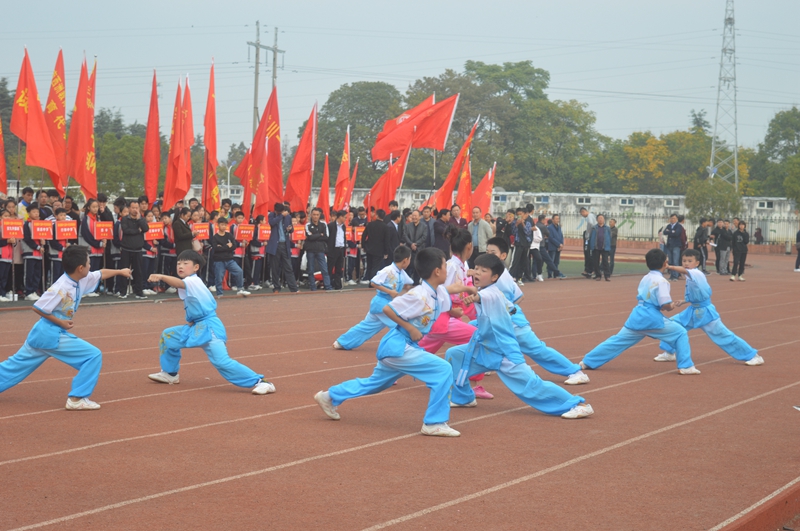 3武术队展示.JPG