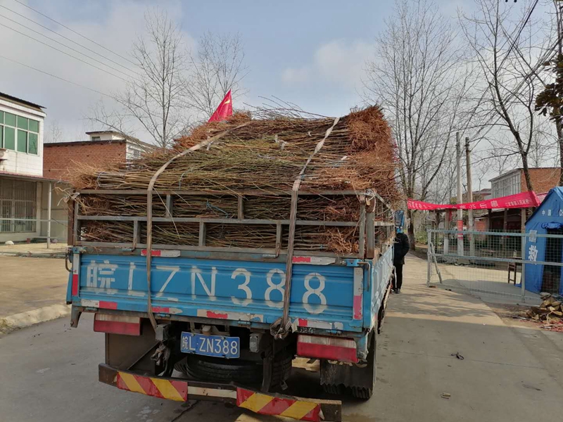 图片9.jpg