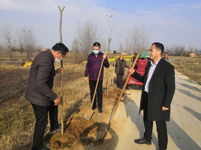 图片39.jpg