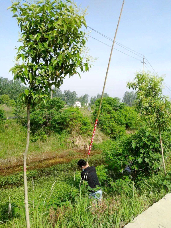 QQ图片20200518140244.jpg QQ图片20200518140244.jpg