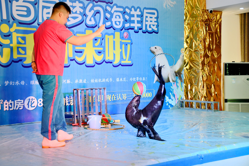 DSC_5392.JPG