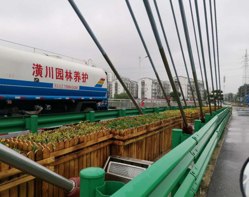 图片13.jpg