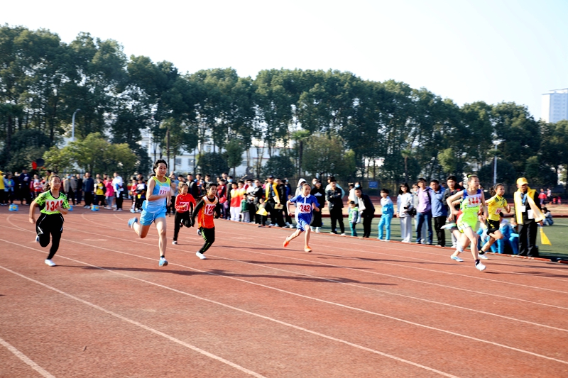 6P9A4823.JPG