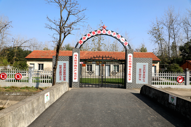 6P9A5033.JPG