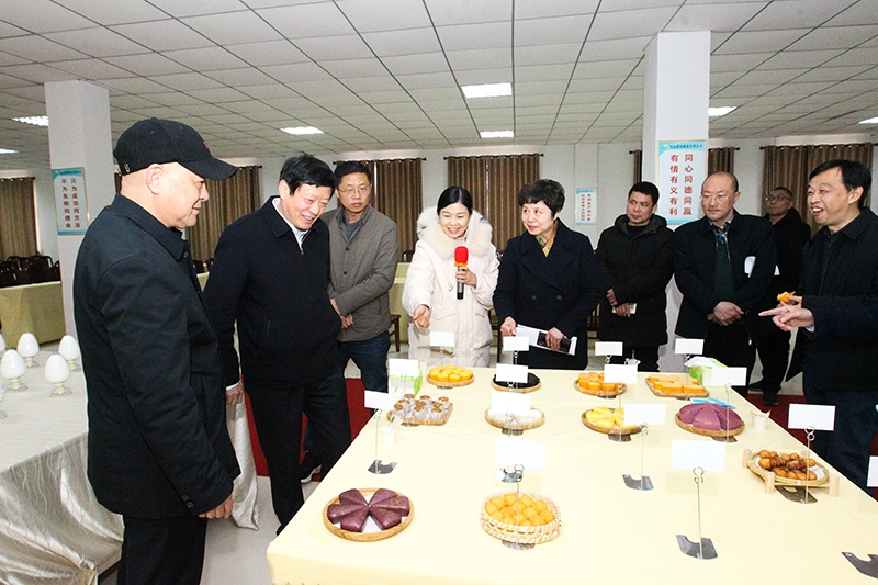 市政协来我县考察接续推进全面脱贫攻坚与乡村振兴有效衔接工作