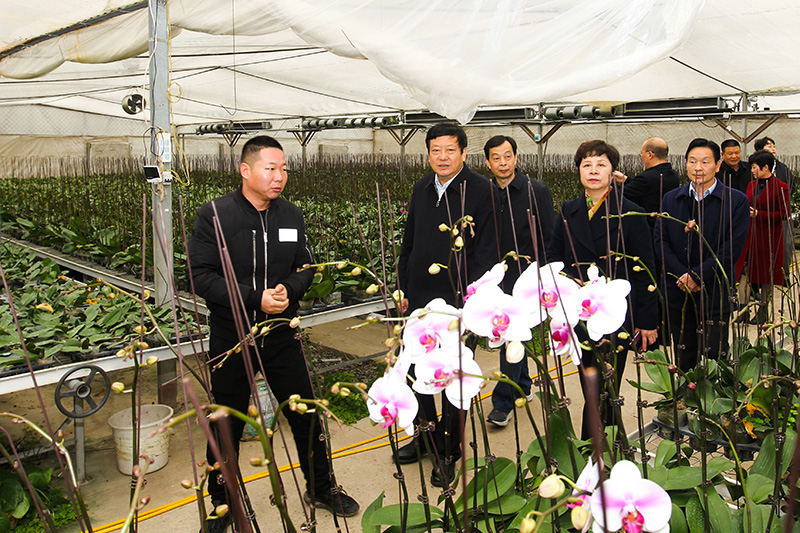 市政协来我县考察接续推进全面脱贫攻坚与乡村振兴有效衔接工作