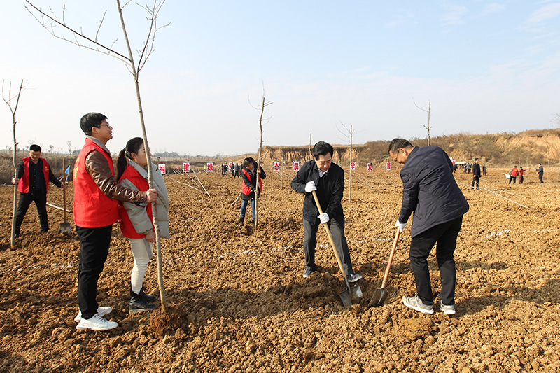 潢川县开展冬季全民义务植树活动