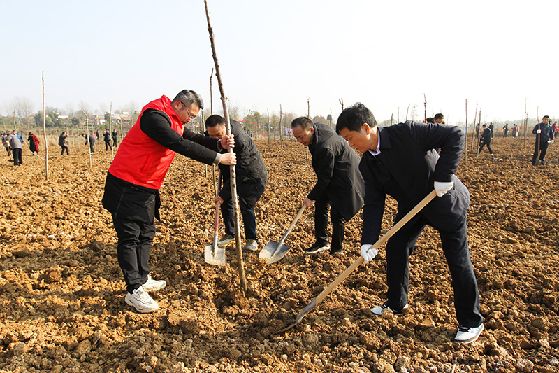 潢川县开展冬季全民义务植树活动