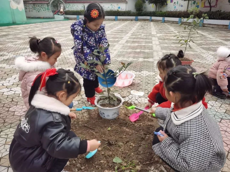 微信图片_202103121639469.jpg