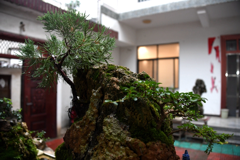 DSC_2171.JPG