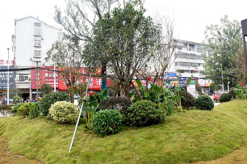 DSC_6586.JPG