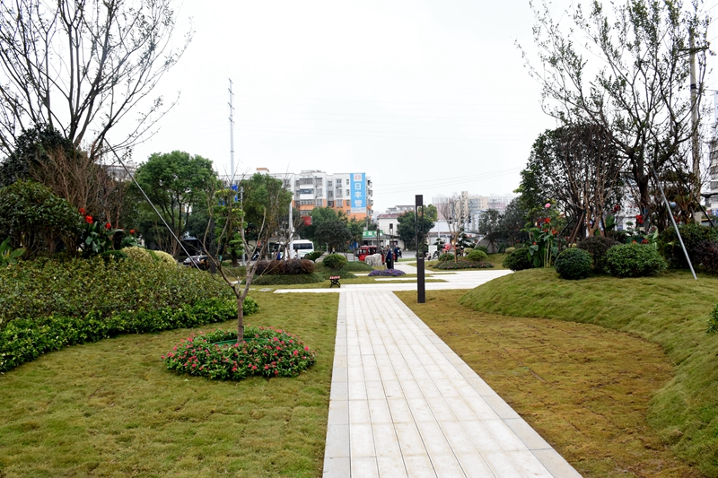 DSC_6588.JPG