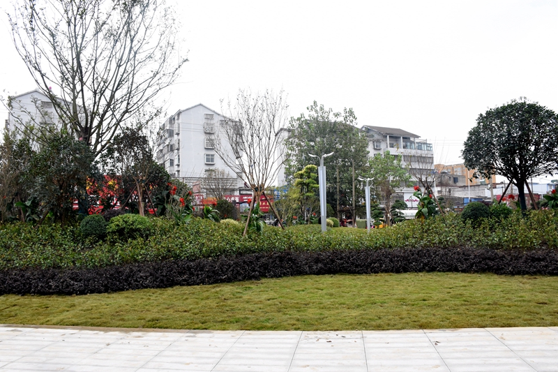 DSC_6600.JPG