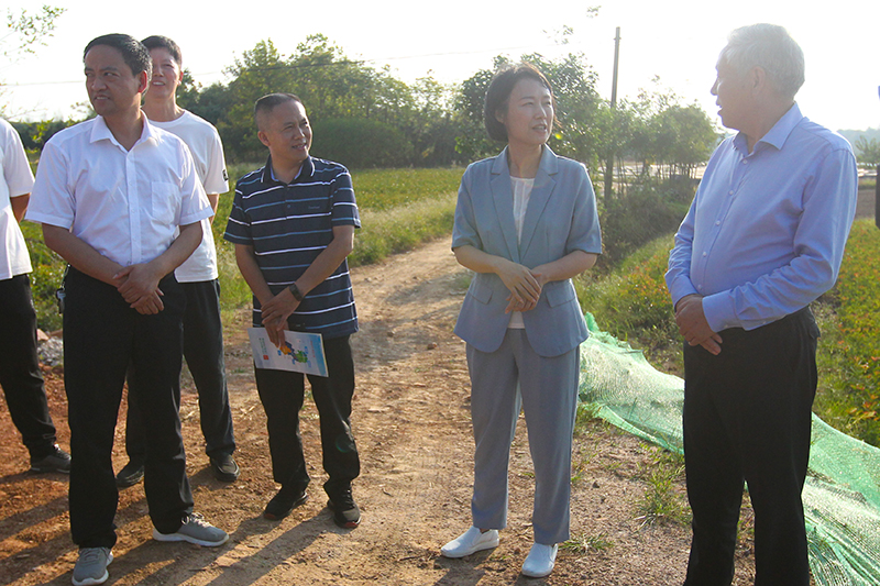 余华调研乡村振兴示范点建设