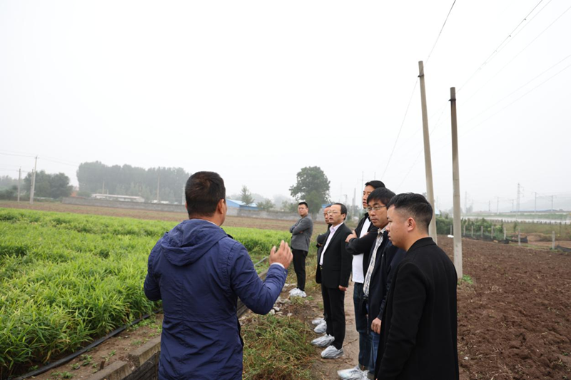 图片22.png 图片22.png