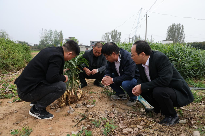 图片24.png 图片24.png