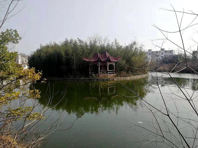 图片8.jpg 图片8.jpg