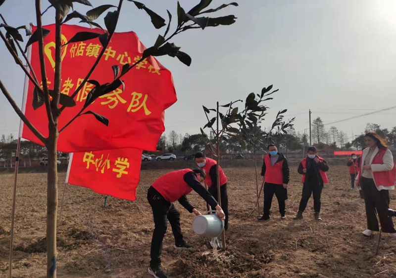 图片24.png