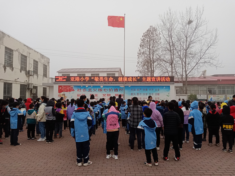 图片1.png
