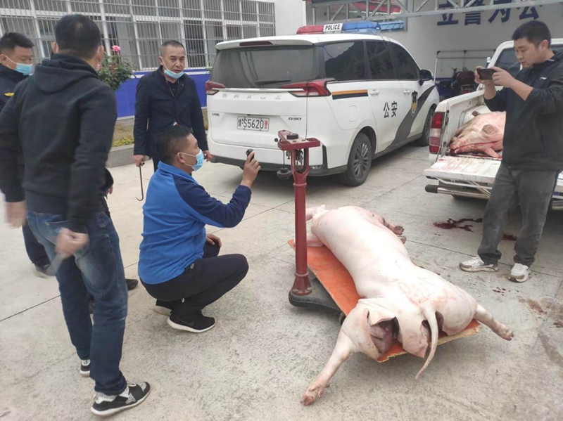 图片2.jpg