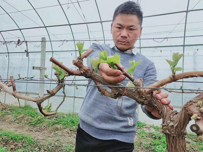 图片1.jpg 图片1.jpg