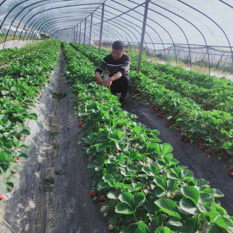 图片2.jpg 图片2.jpg