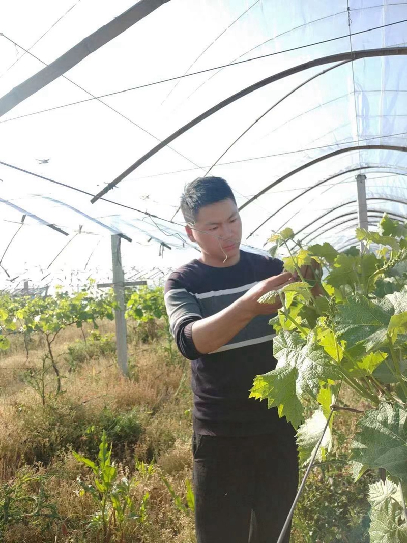 图片3.jpg 图片3.jpg