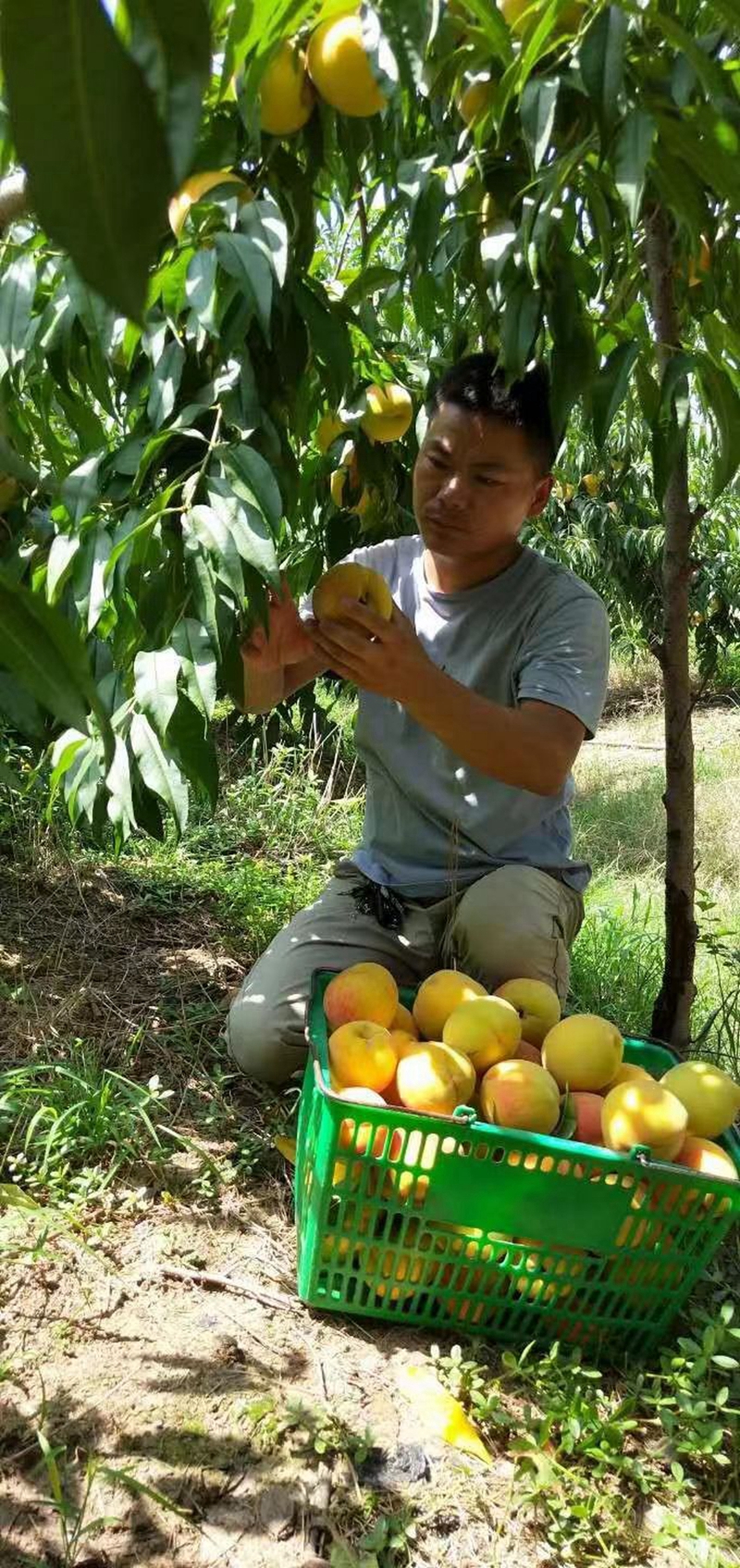 图片5.jpg 图片5.jpg