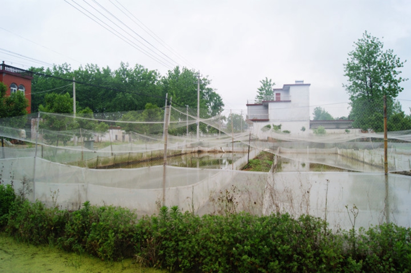 上油岗乡相立村黑斑蛙养殖示范基地.jpg