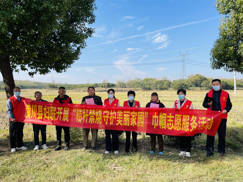 图片8.png