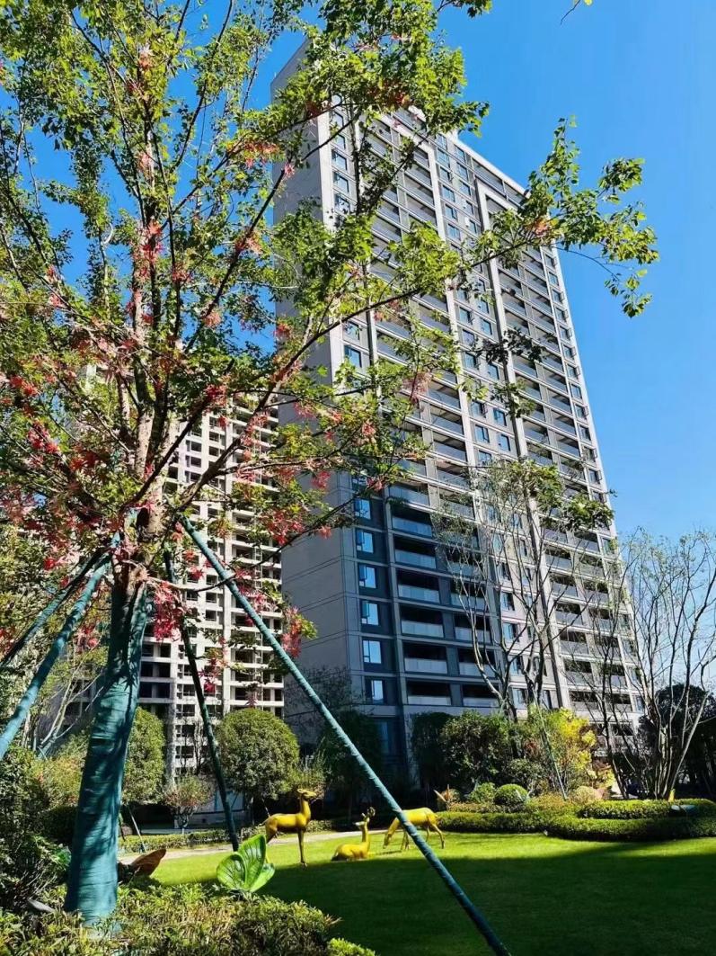 图片2.jpg 图片2.jpg