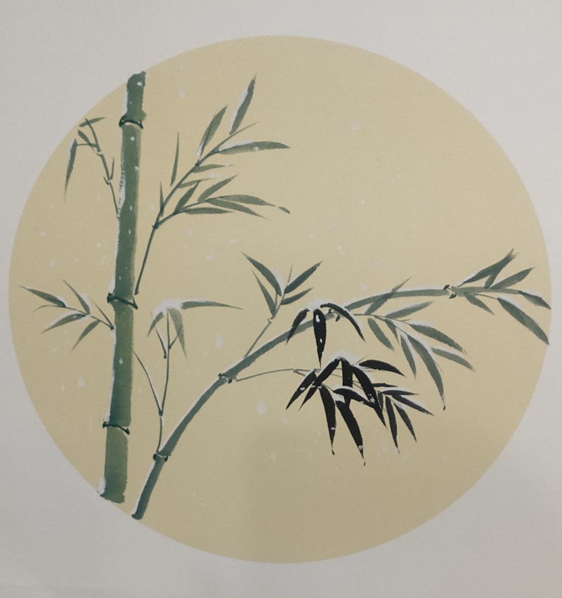 图片13.png 图片13.png