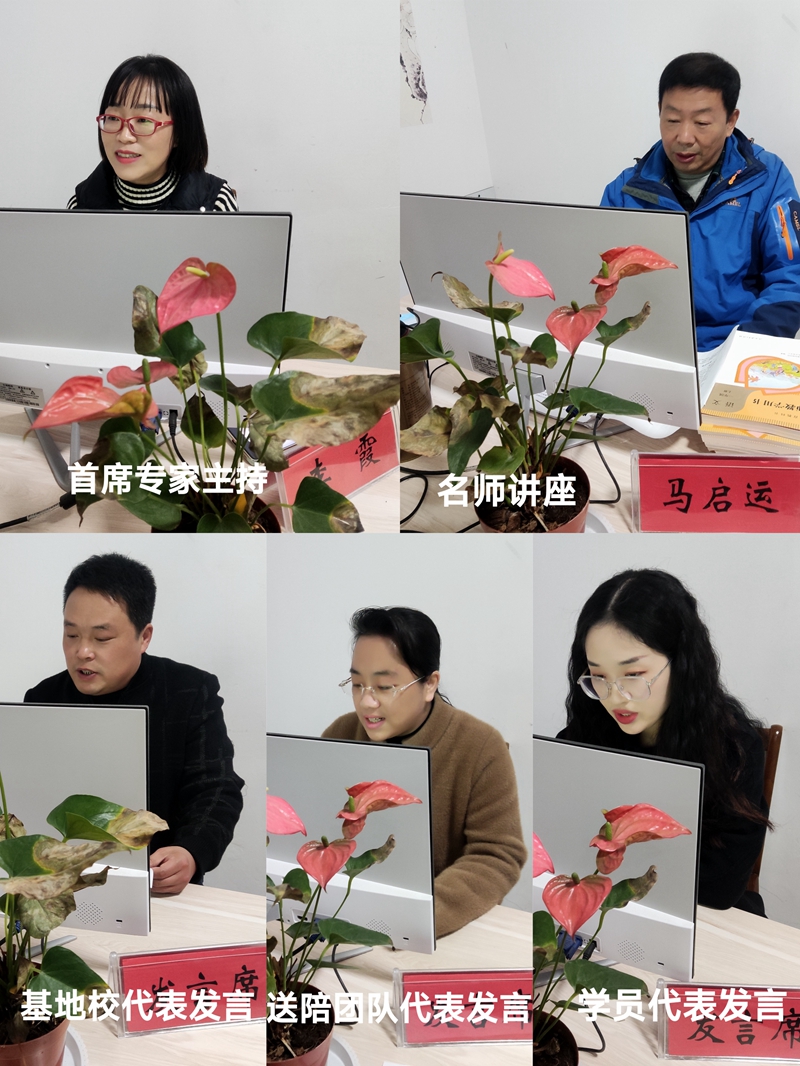 图片4.jpg 图片4.jpg