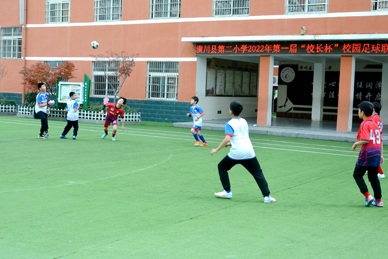图片24.png
