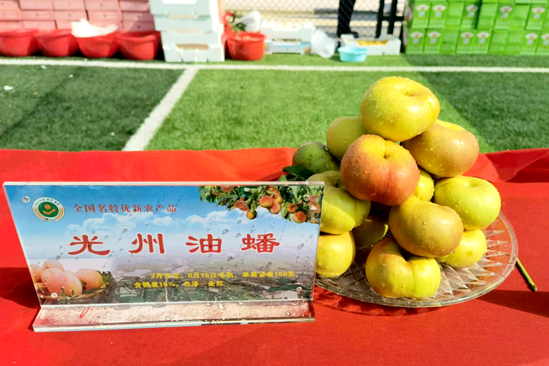 图片31.png