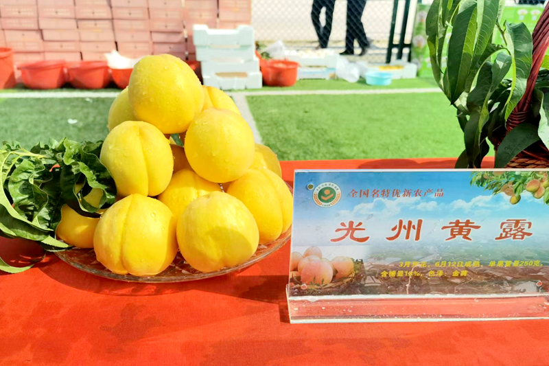 图片32.png
