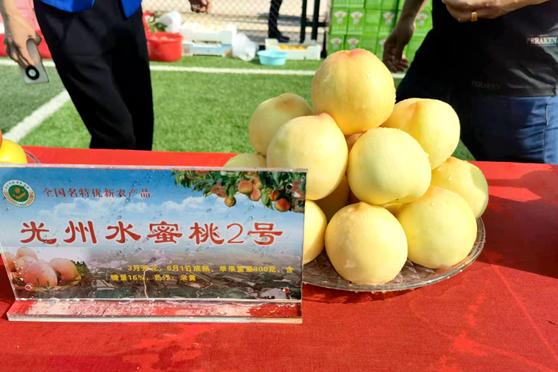 图片33.png