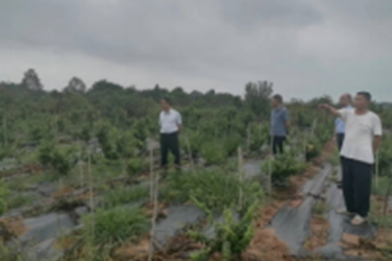 图片60.png 图片60.png