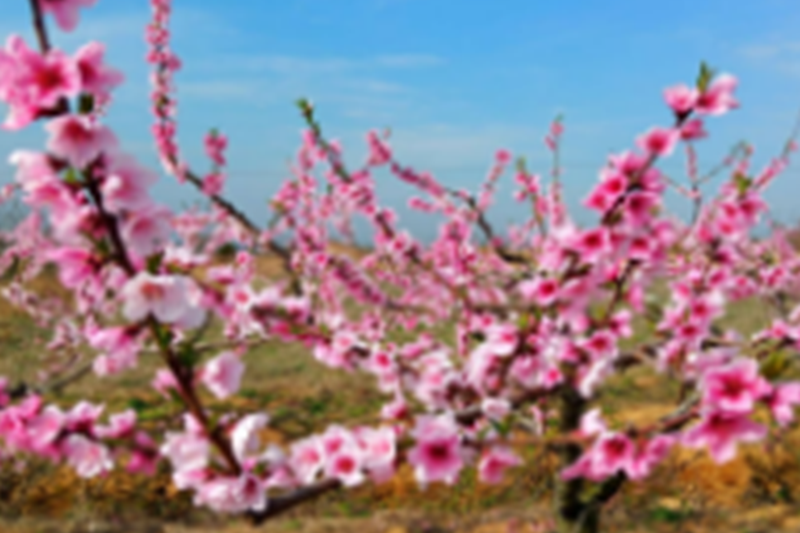 图片61.png 图片61.png