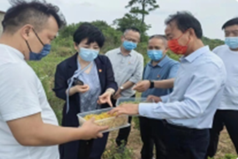 图片62.png 图片62.png