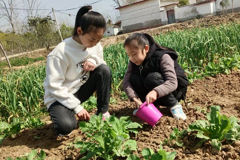 惊蛰6.jpg