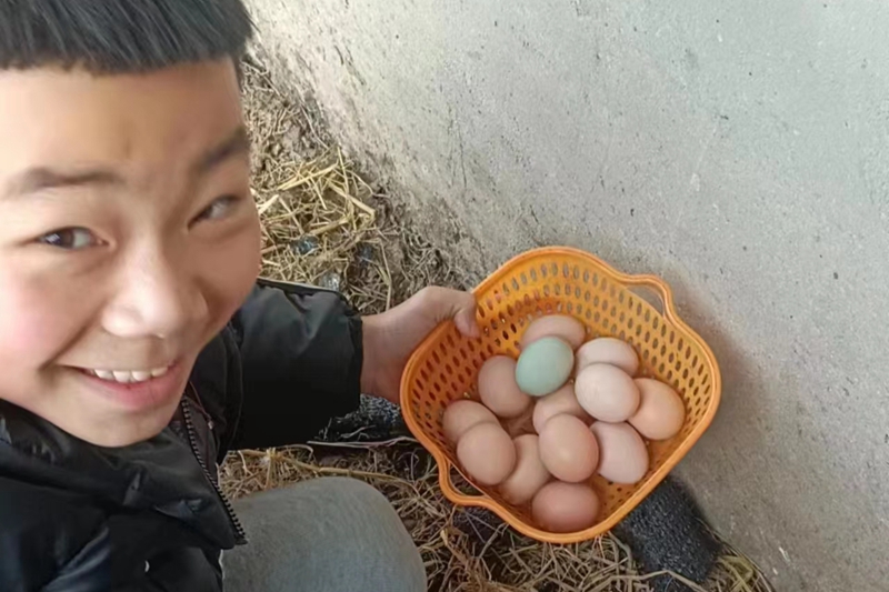 微信图片_20230307151551 - 副本.jpg