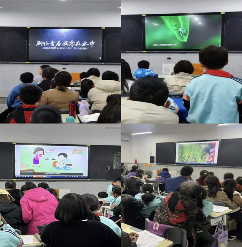 图片24.png