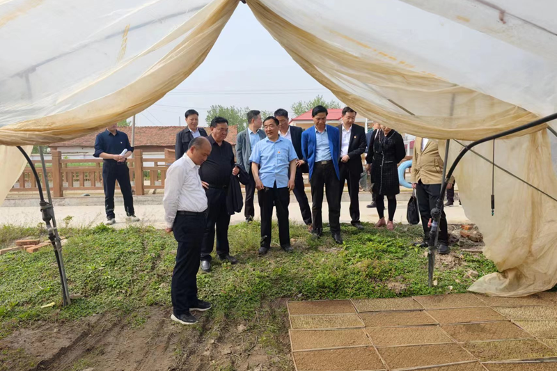 图片13.png 图片13.png